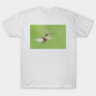 Ruby-throated Hummingbird T-Shirt